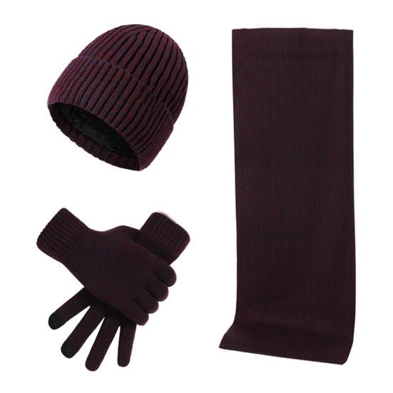3Pcs/Set Women Winter Hat Scarf Gloves Set Solid Color Knitting Hat Long Scarf Touchscreen Gloves Set Winter Accessories