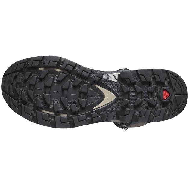 Треккинговые ботинки Salomon QUEST ELEMENT GORE-TEX