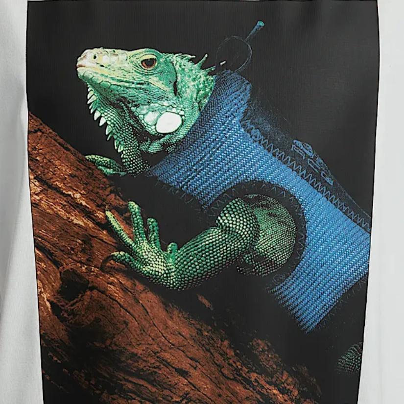 Nike ACG Dri-FIT T-shirt Asia Sizing 'Summit White' Men's HJ0890-121