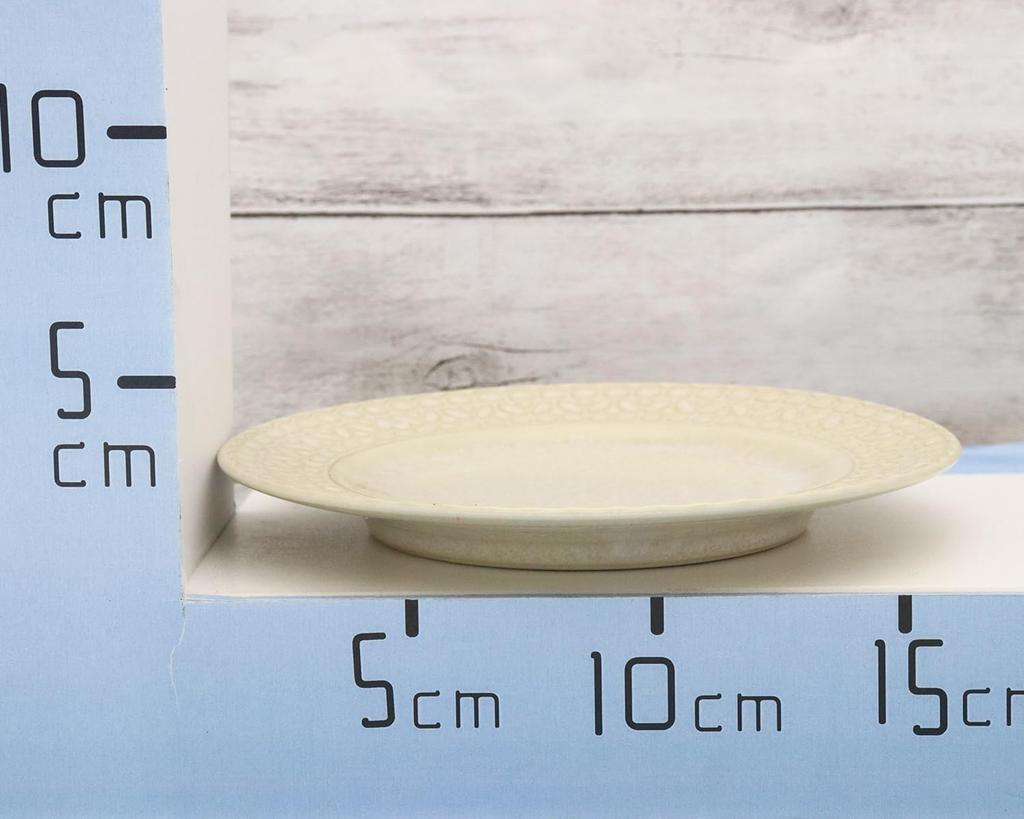 Castle Enterprises [17cm Rice Plates (White) Set of 10] Mino Ware Lace Pattern Decorates Food Cutely Recommended for Adult Women