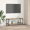 TV Cabinet Artisan Oak 100x33x41 cm Engineered Wood and Iron