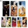 Cute Golden Retriever For Realme 8 8i V3 V5 GT Neo Flash Edition Explorer Master Neo2 Narzo 30 50i 50A C21Y Phone Case