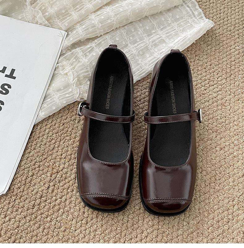 Fashion Temperament French Brown Thick Heel Small Leather Shoes Women's 2025 New Spring and Autumn with Skirt Shallow Mouth Mary Jane Single Shoes