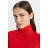 Regular Fit Soft Textured Turtleneck Basic Plain Knitwear Sweater H1651az24wn