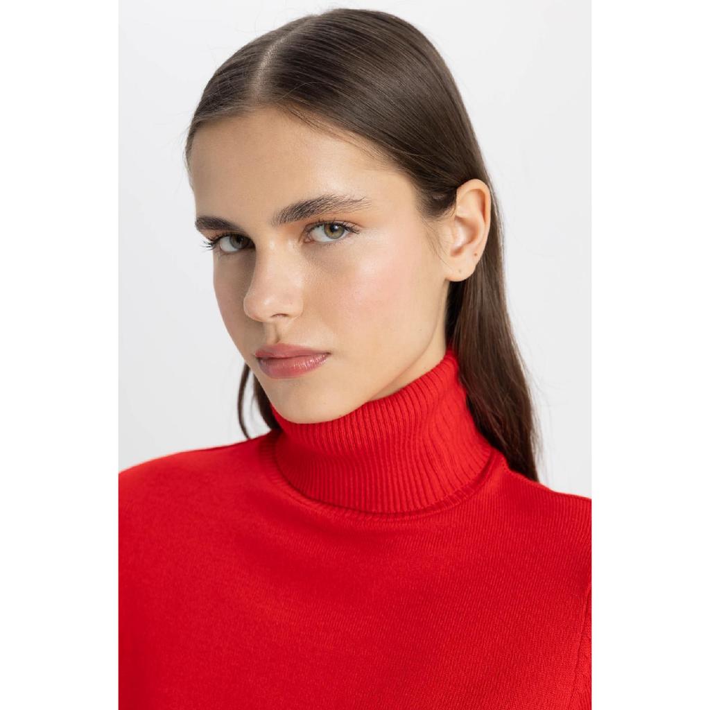 Regular Fit Soft Textured Turtleneck Basic Plain Knitwear Sweater H1651az24wn