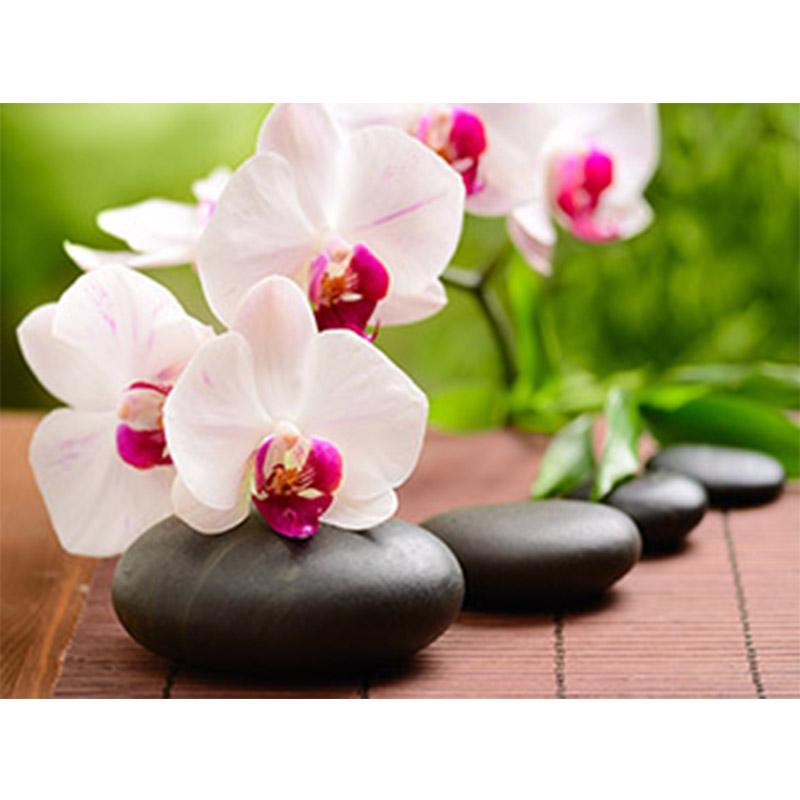 Цветок DIY 5D алмазная живопись полный круглый дрель Стразы Мозаика Орхидея Пейзаж Алмазная вышивка крестиком домашний декор