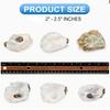 Summer Beach Wedding Napkin Rings, Golden Oyster Shells, Wedding and Valentine'S Gifts for Girlfriend, Party Napkin Rings