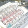 Набор из 12 предметов для нейл-арта на морскую тематику: Морские звезды, Ракушки, Раковины, Кокосовые пальмы и Жемчуг