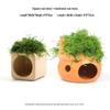 Aquatic Plant Moss Hideaway: Real Plant Jar for Fish & Shrimp