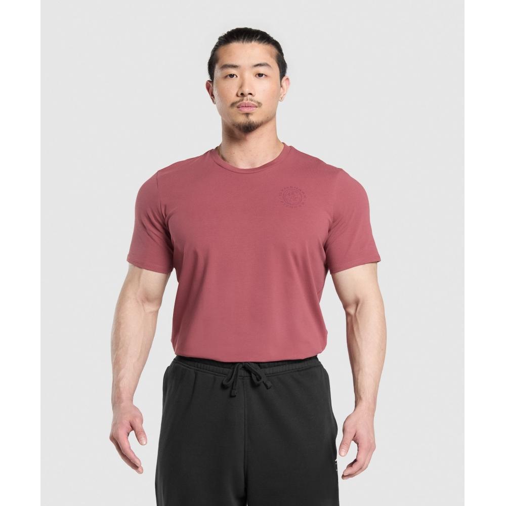 Gymshark Футболка Legacy, цвет «Waterly Berry Pink» A5a3b Kcps