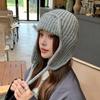 Модная вязаная шапка с защитой ушей Зимняя теплая Морозостойкая Летная шапка Однотонная Шерстяная вязаная крючком шапочка Корейская женская шерстяная шапка-бини