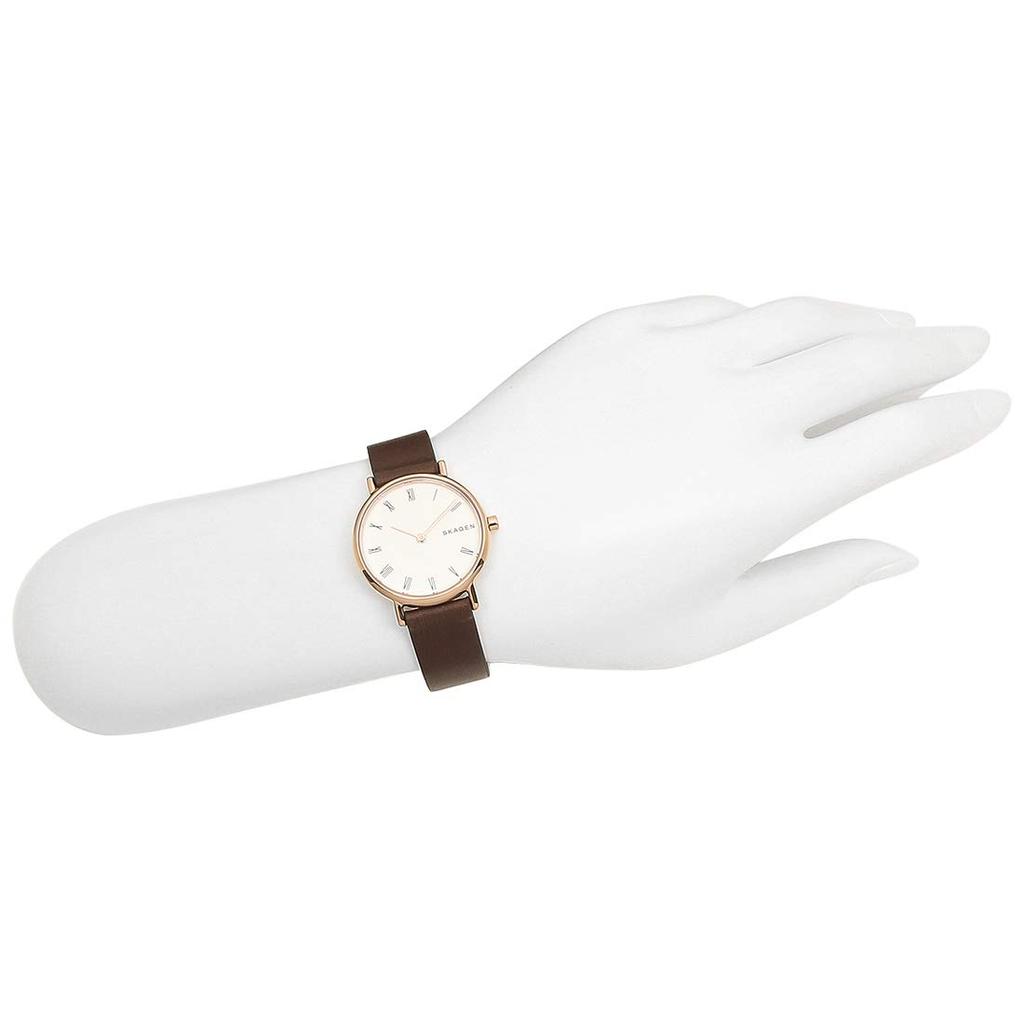 Skagen Women's Watch, Brown, SKW2760 [Parallel Import]