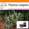Garden in the Bag - Тимьян обыкновенный - 200 семян - С субстратом в подходящем стоячем пакете - Тимьян обыкновенный