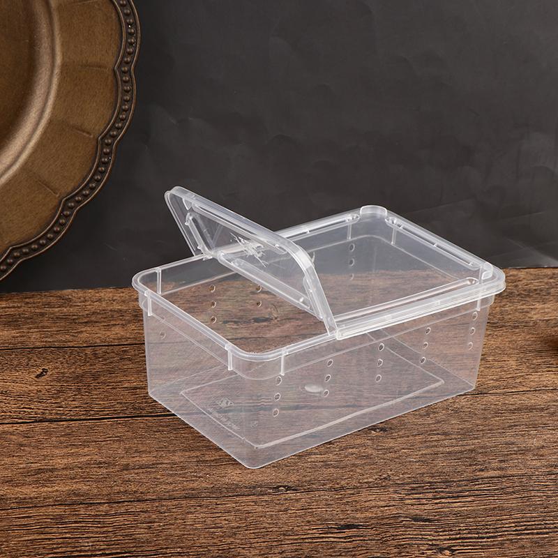 Reptile Box Mantis Jumping Spider Silkworm Rearing Box Reptile Rearing Box