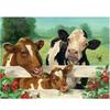 Full 5D Diy Diamond Painting Cow Diamond Embroidery Anime Cross Stitch Kits Home Decor Handmade Gift