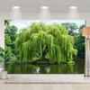 2D Green Nature Pond Backdrop Photography Background Banner