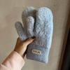 Зимние теплые перчатки для женщин с плюшевой подкладкой для поездок на работу и активного отдыха