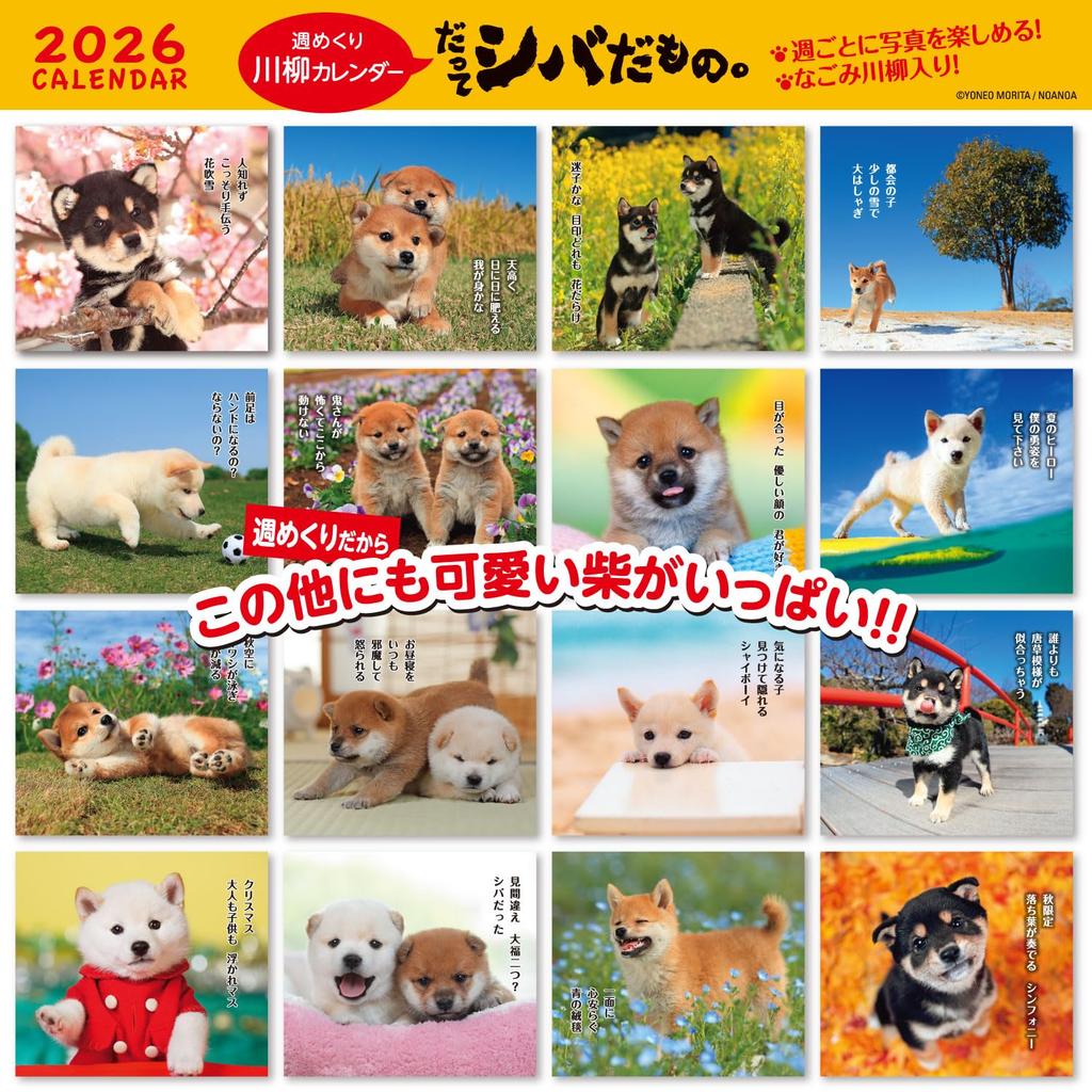 Active Corporation 2026 Desk Calendar Starts January 2026 (Because It's Shiba) 26ACL-566
