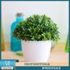 Plant Decorative Looks Fresh All Year Round Fake Flower Vibrant Colors Bonsai Tree With Pot Room Decoration Popular Item