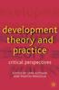 Книга Development Theory and Practice : Critical Perspectives