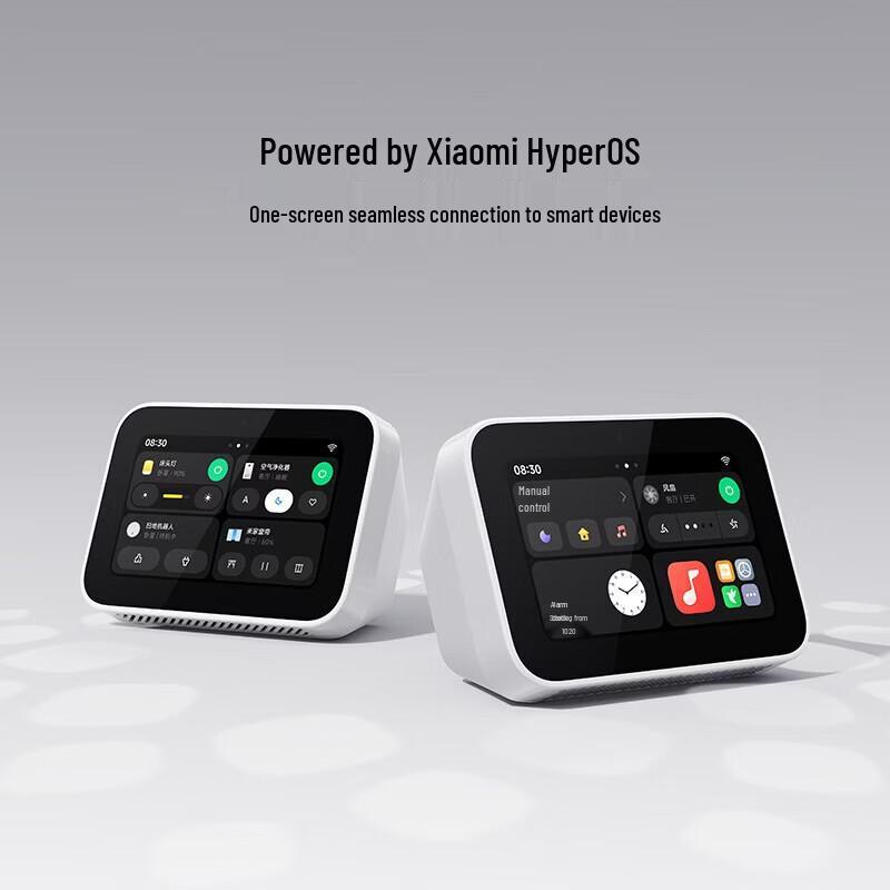 Xiaomi Умный домашний экран Мини CN вилка (адаптер в комплекте)