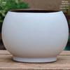 Retro Coarse Pottery Succulent Bonsai Floor Pot for Indoor Plants