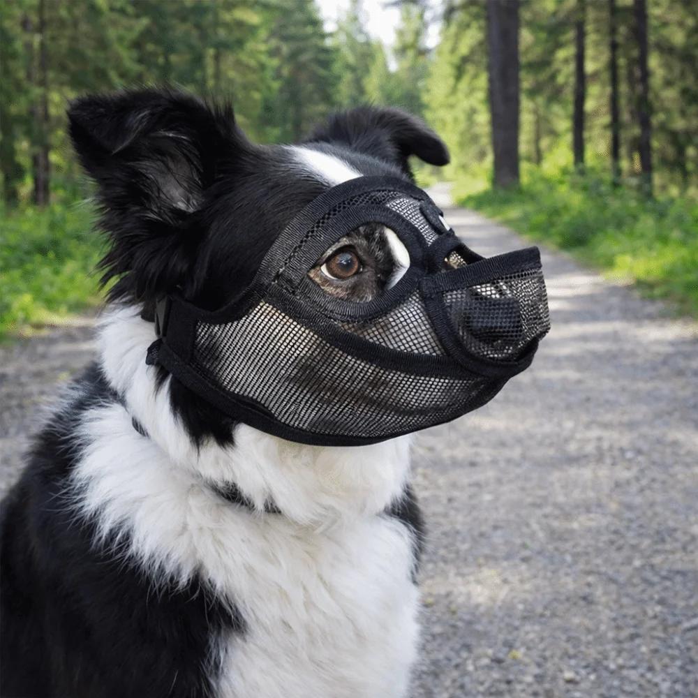 Практичный сетчатый намордник для собаки, регулируемый, против поедания, от укусов, дышащий, позволяет пить, накладка на морду для питомца, останавливает лай