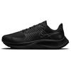 Air Zoom Pegasus 38 Shield Black Metallic Dark Grey Женские кроссовки Средне-пепельный Night-Forest DC4074-002