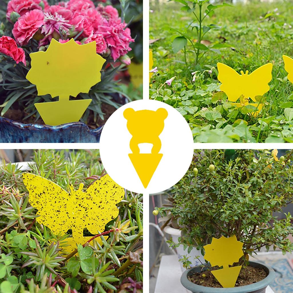Traps Sticky Board Dual-Sided Sticky Traps Flying Plant Insect Catcher