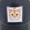 Snapback сетчатые шляпы, летняя бейсболка с кошачьей нашивкой, бейсболки, женская уличная шляпа с козырьком дальнобойщика