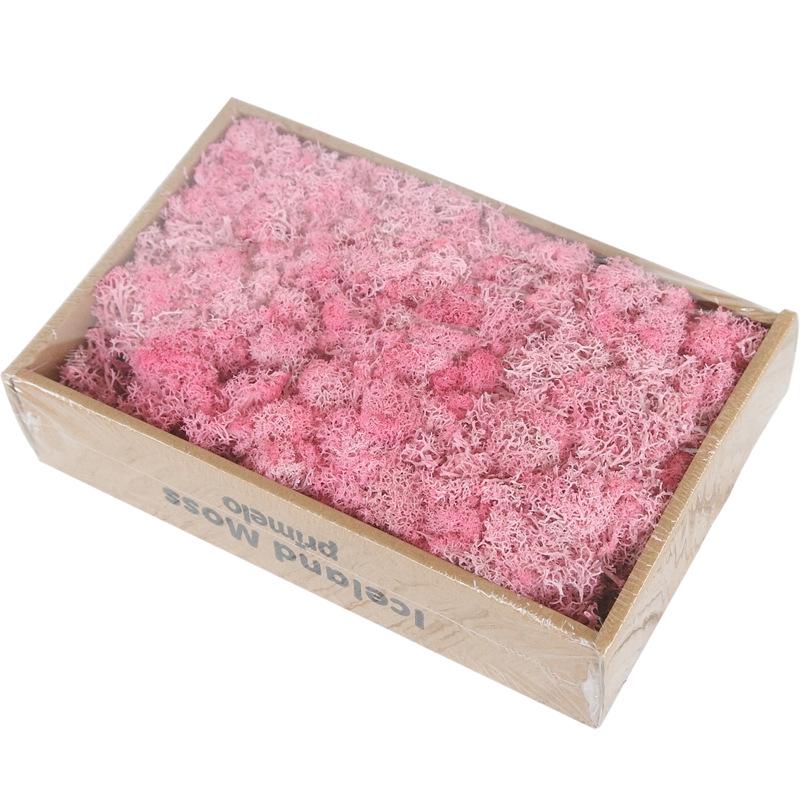 Preserved Flower & Moss Wall Decoration Kit: Flower Gift Box Materials