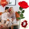 Коробка для колец с красной розой, шкатулка для украшений, многофункциональная, реалистичный дизайн, органайзер для колец с цветочным узором, предложение о помолвке