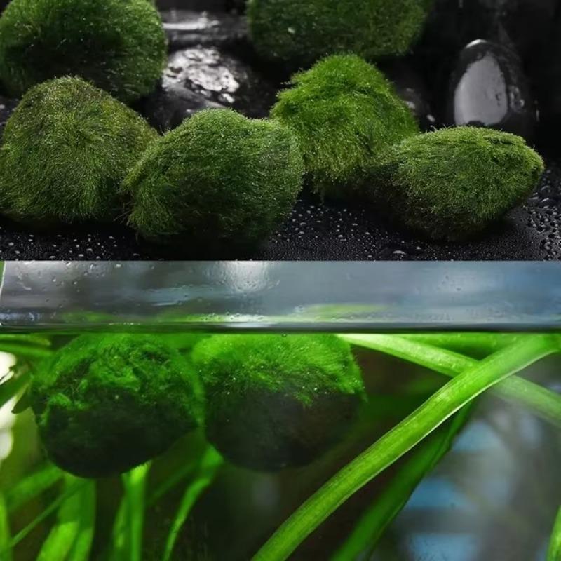 Новый 1 шт. Имитация мха, флокированный камень, искусственный камень, газон, микроландшафтные украшения, декоративные аксессуары, домашний декор 2023 г.