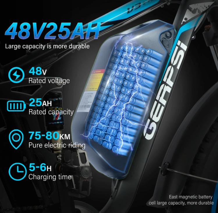 Ebike BLJ DP-2603 3000W Dual Motor 48V 25AH Battery, Front and Rear Shock Absorption, 26-inch Snow Tires, Adult E-Bicycle.