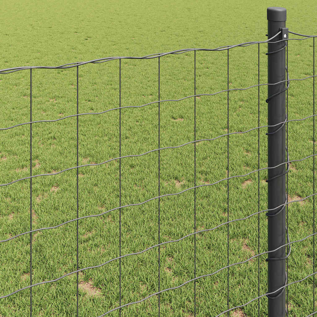 Euro Fence Gray 0.4 x 10 m PVC Coated Iron