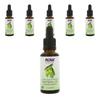 Tamanu Oil, 30ml, 6 Units