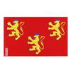 Drapeau - Dordogne - 64 X 96 Cm - Polyester - Impression Recto/verso - Œillets En Fer