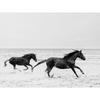 Черно-белый портрет лошади, постер, печать на холсте, картина с изображением бегущих лошадей, настенное искусство, картина для декора комнаты в фермерском доме