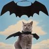 Cat Bat Wings Costume Adjustable Strap Portable Soft Felt Pet Outfit for Halloween Cosplay Travel Pet Photo Shoots