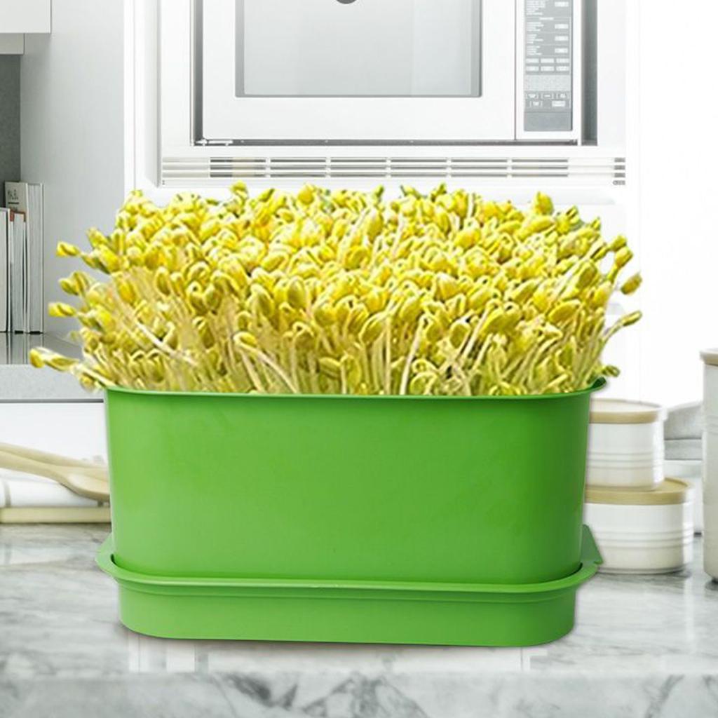 Пластиковый набор для проращивания семян, лотки для выращивания микрозелени, контейнер для проращивания ростков пшеницы