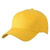 Myrtle Beach 5 Panel Baseball Cap