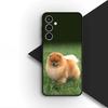Чехол для телефона Samsung Galaxy S22 S21 S20 FE Ultra Plus A07 A17 A15 A16 A25 A57 A37 Чехол Бишон Фризе Померанский Шпиц Собака