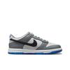Nike Dunk Low GS Cool Grey Photo Blue Kids Sneakers Black Pure-Platinum Light-Photo-Blue FB9109-001