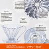 Sanyo Sangyo CAFEC Tritan Flower Dripper CUP4 на 2–4 чашки, черный TFD-4BK