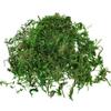 800G Dry Real Green Moss Decorative Plants Vase Artificial Turf Silk Flower Accessories For Flowerpot Decoration