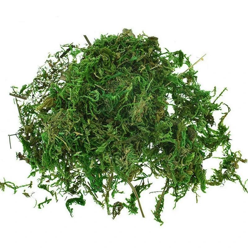 800G Dry Real Green Moss Decorative Plants Vase Artificial Turf Silk Flower Accessories For Flowerpot Decoration