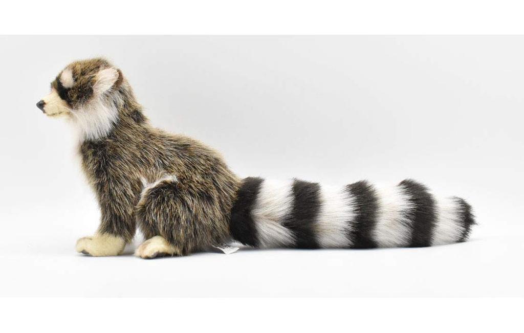 BH4248 HANSA Raccoon 25