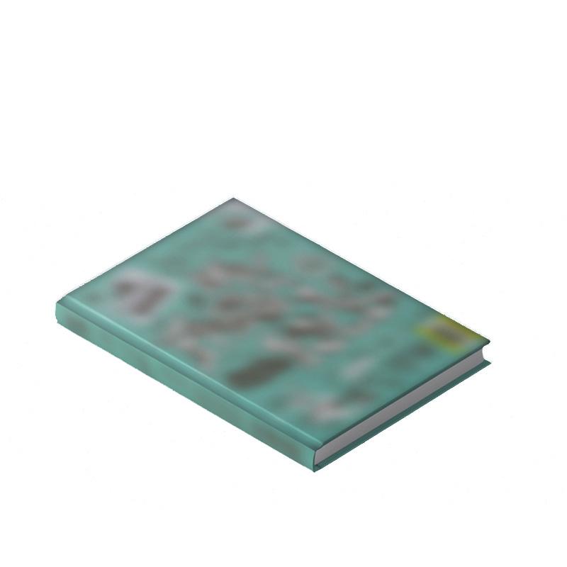 [ПРЕДЗАКАЗ] KickFlip – Мой Первый Кик Моя Первая Поездка Вер.