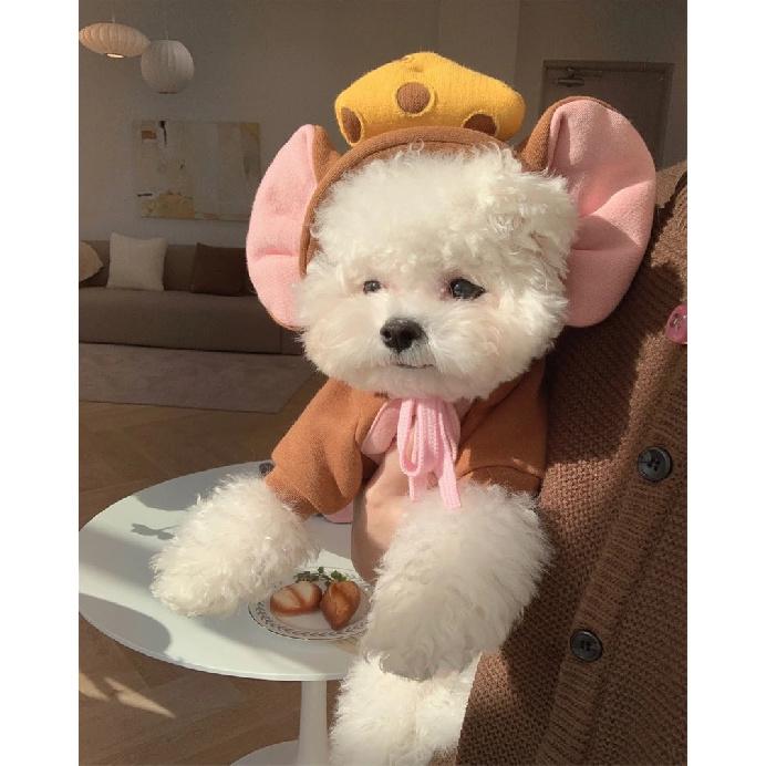 Autumn Winter Pet Cat Sweatshirt Warm Fleece Cosplay Animal Hoodies Overalls for Small Dogs Funny York Halloween Kitten Clothing