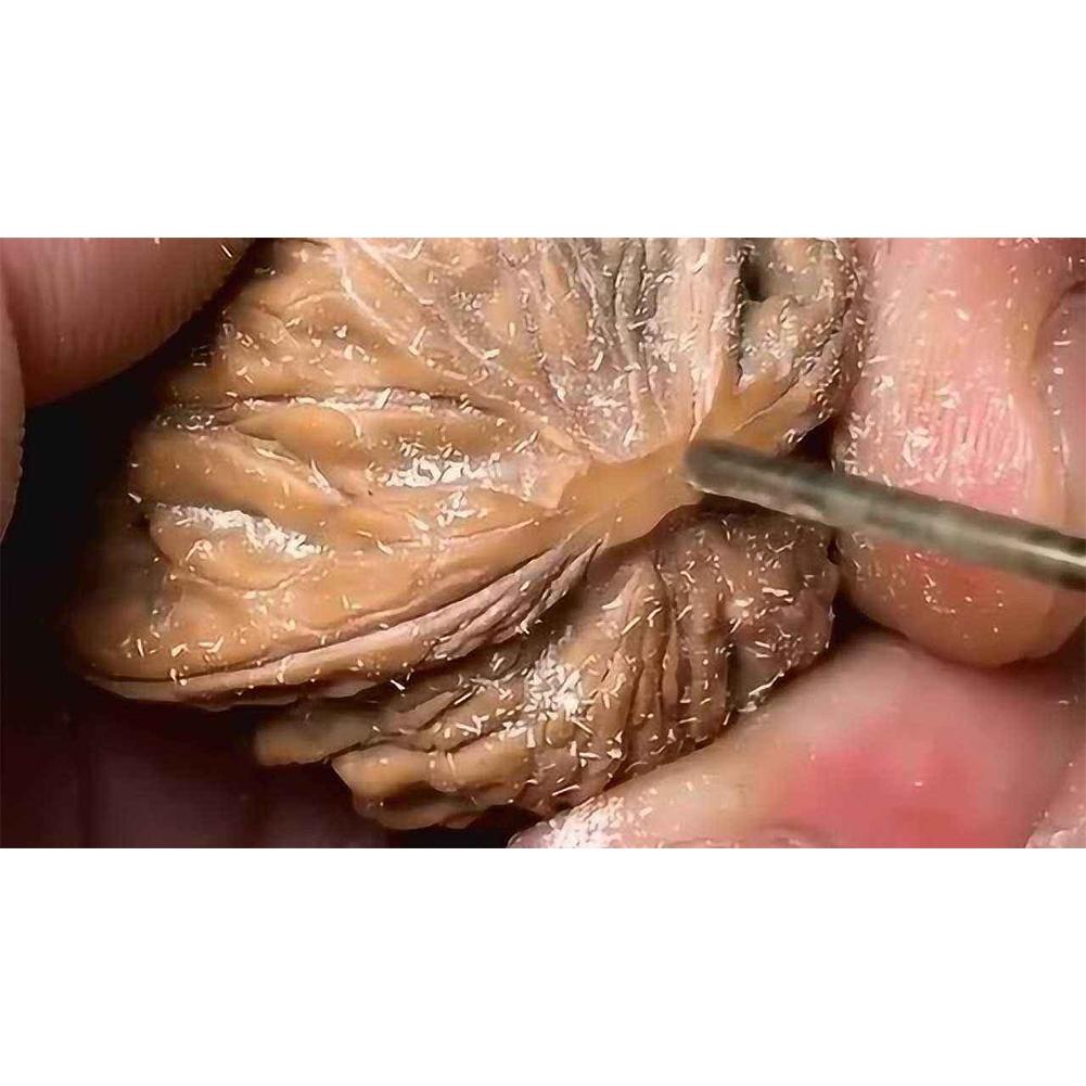 Сверло Мини Сверла Пластик Диаметр хвостовика 2,35 мм